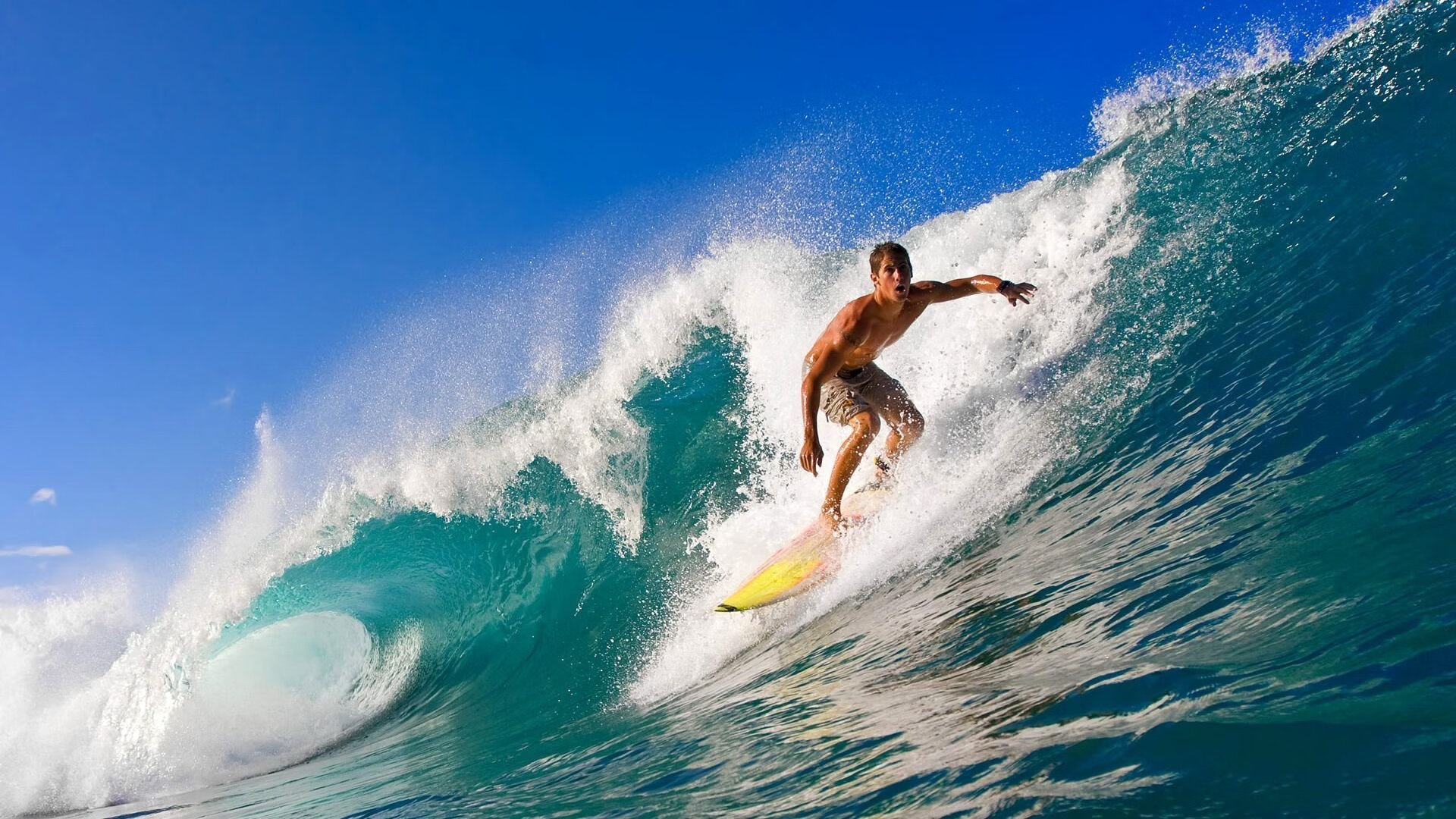 特色古典马术表演,演绎千年传统技艺,马术古典舞步